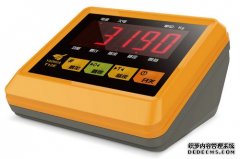 电子丝瓜污视频免费污XK3190仪表系列产品