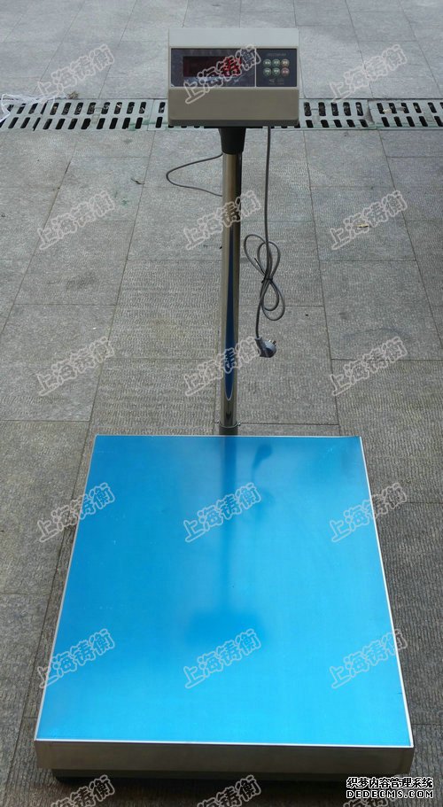 电子丝瓜污视频免费污