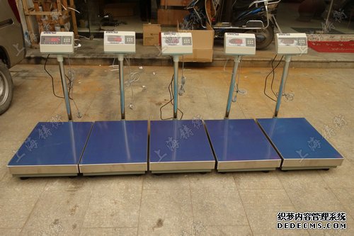 电子丝瓜污视频免费污