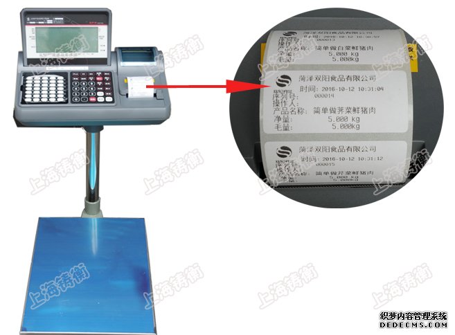带打印电子丝瓜污视频免费污